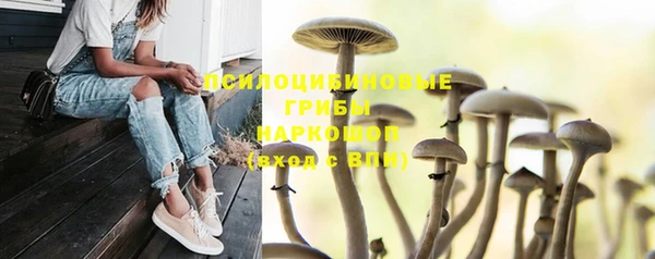дурь Зерноград