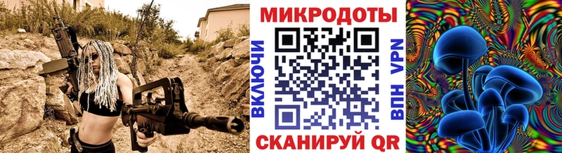 Купить  Мегион  Псилоцибиновые грибы Psilocybine cubensis 